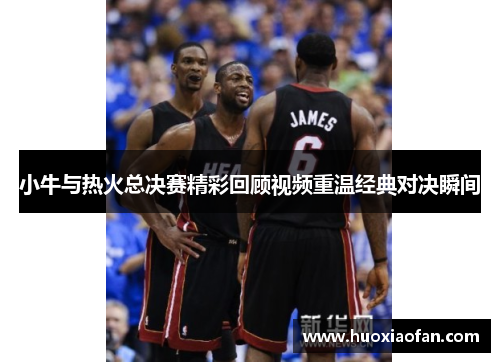 小牛与热火总决赛精彩回顾视频重温经典对决瞬间